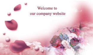 Welcome to our company website